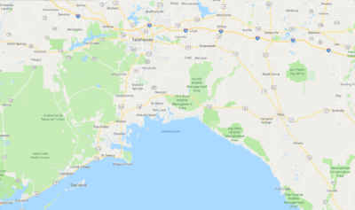 Area X Google Maps.png