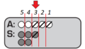As card dam 4.png