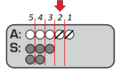 As card dam 3.png