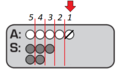As card dam 2.png