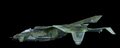 Thumbnail for version as of 19:50, 8 November 2021